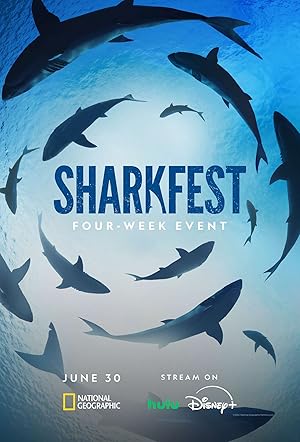 Kızıldeniz’deki Köpekbalığı Saldırıları – Attack of the Red Sea Sharks (2024)